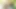 Lucy Thai anal seks ve çifte penetrasyon içeren açık havada üçlü grup seks fotoğraf çekimine katılıyor