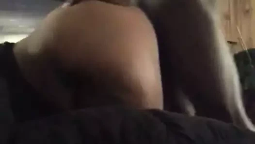 kedi içinde the sandalye