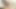 Pornstarplatinum bağlı leya falcon domine ediliyor ve büyük zenci yarağı sikiliyor