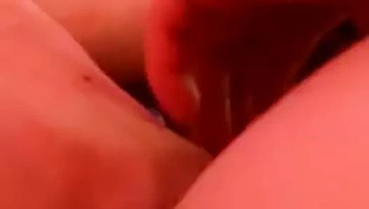 Islak kedinin güzel sesi