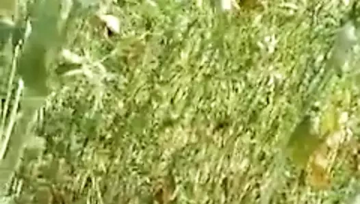 Hint genç oğlan &amp; kız zevk almak seks