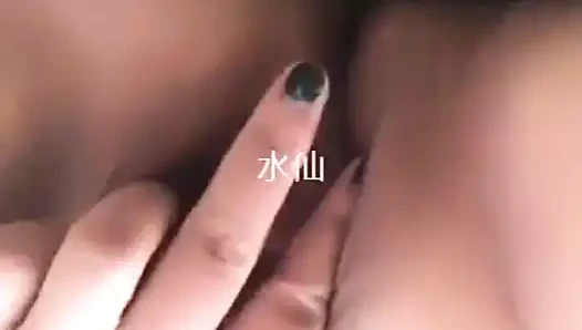 Üç inçlik altın nilüfer spikeri kulübün uyumunu sağladı