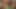Güzel açık saçlı hatun Staci Thorn dildo ve parmaklarını kullanarak amıyla oynamaya bayılıyor