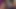 Gençler büyük seviyor - en yakın arkadaşlar Allie Haze ve Jennifer White, büyük bir yarağı paylaşıyor