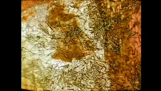 "Menşeimiz xxx... - cilt 14