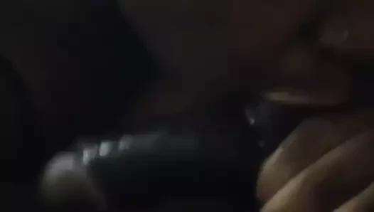 Dev baştankara abanoz emme bbc