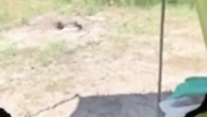 Domaltmalı göt sikişi!!