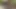Annem ormanda başka bir yarağı sikmiyor iyi olacağıma söz veriyorum