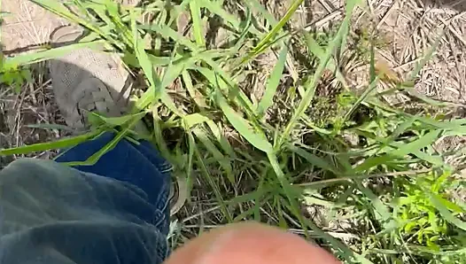 Ormanda yalnız yarak
