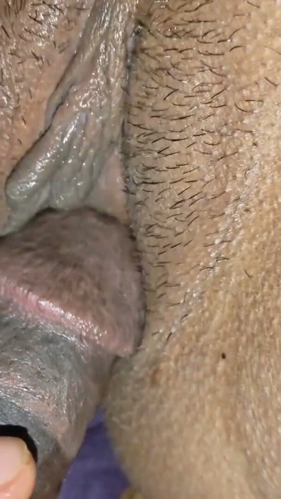 Desi koca ateşli karısını sikiyor. Bangla sesli yeni video | Bölüm 1