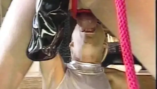 Büyük memeli sahibe domaltarak sikişmeden önce seks kölesi aygırını azdırıyor
