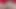 En ateşli web kamerası kızı mzansi