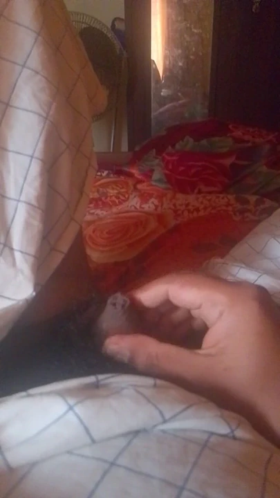 Mallu oğlan küçük yarak