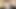 Goth Pixie Shadow Bed - Fishnet Strip to Wild Dildo Ride