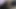4k kızgın köpek yavrusu havlıyor ve tüm odayı kokluyor