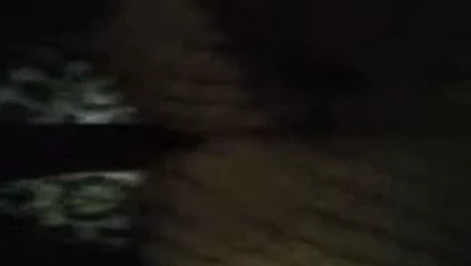 vücut çorabı köpek