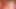 Sarışınla ateşli grup seks – tüylü kedi ve anal