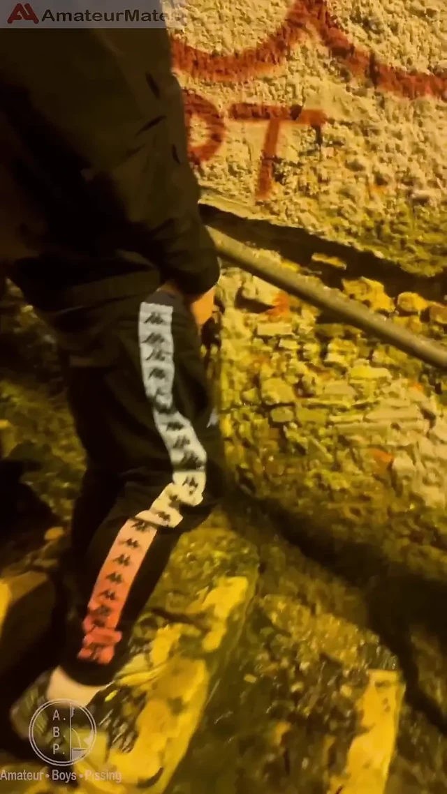 Amateur Boy Catches His Friend Pissing in the Street and Touches His Cock