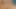 Lezbiyenler, courtney simpson ve savanna james tutkulu