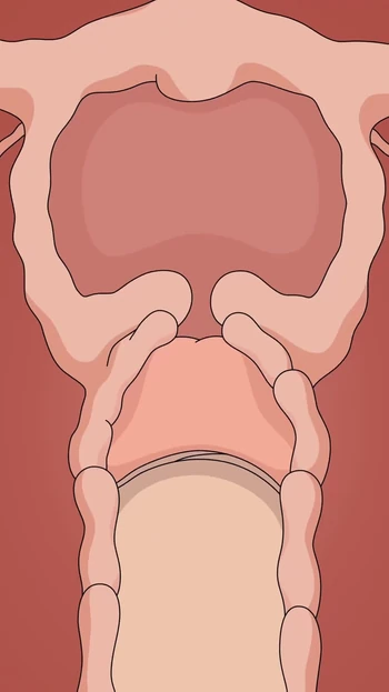 Сногсшибательный момент из "ВИДЕО НАРУТО TSUNADE ХЕНТАЙ АНИМАЦИИ"