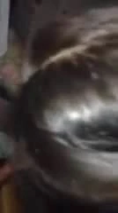 Latina parti yapmayı biliyor