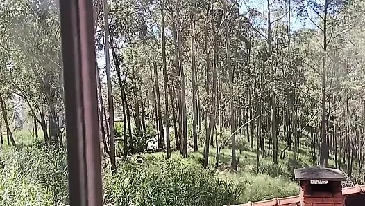 Büyük Sarışın, Sevimli Esmer Saçlı