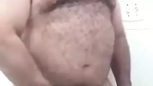 Bir yük bırakarak tıknaz ayı