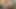 Hintli eşcinsel filmleri - köyü ziyarete gelen turistler çiçek bahçesinde selfie çekmek için dönüyor.