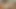 Güzel chubbx web kamerası