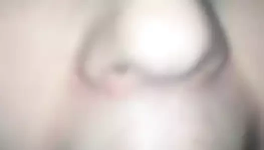 amatör kırlangıçlar