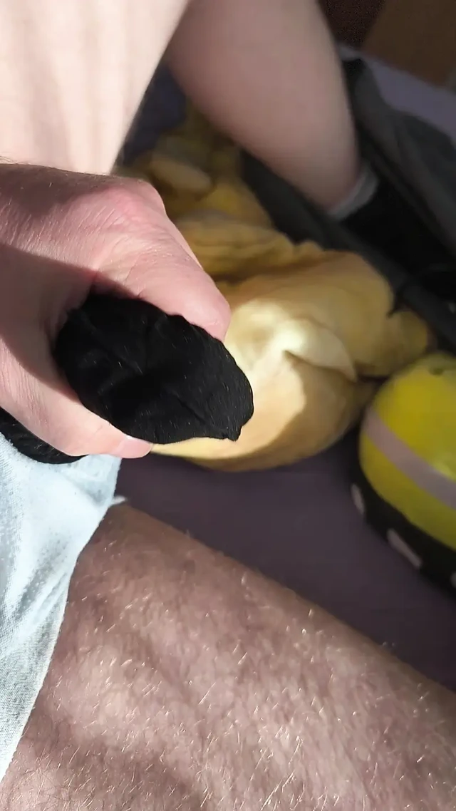 Sylon'a geri dönüyoruz