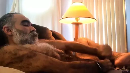 kıllı baba ayı vuruş üzerinde cam