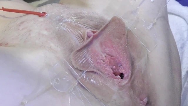 3 Yalayan Vagina, Çok Yakın Olmayan Yerlerde