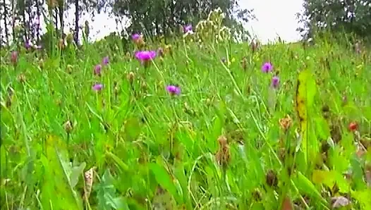 Klasik Jenna Red Sert Emiyor Ve Biniyor