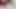 Punjabi stepmom fucking her pussy desi punjabi stepmom sex video with audio