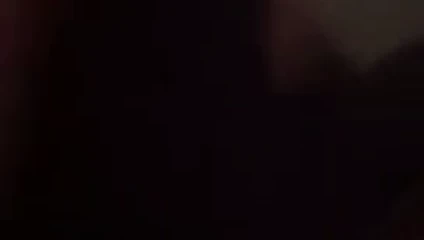 Kelly oynama ile oyuncak içinde kel kedi