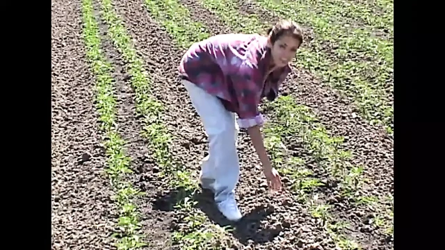 Mexicunts 2 - bölüm 1