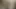 Muffling onu kedi dildos olarak bir ballgag ile çığlıklar