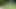 dövmeli bal alır büyük testiler cummed üzerinde açık havada