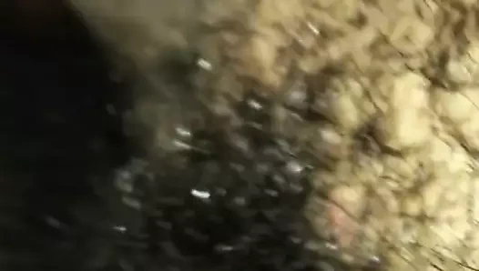 Bbc ve kıllı mexican kedi