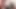 Domaltmalı ve kovboy kız! Islak amcık anime hentai