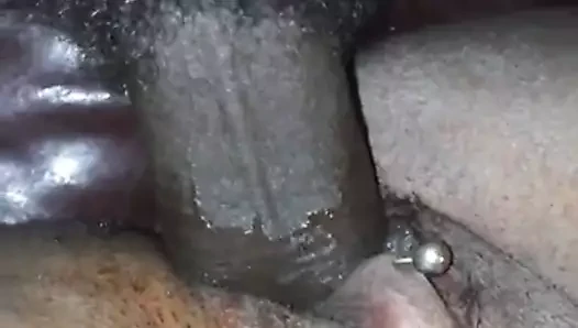 Uzun yarak bazı kedi