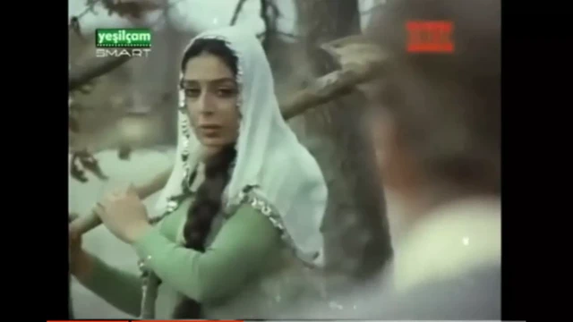 Türk retro milf orman ormanda tecavuz turk sert köy