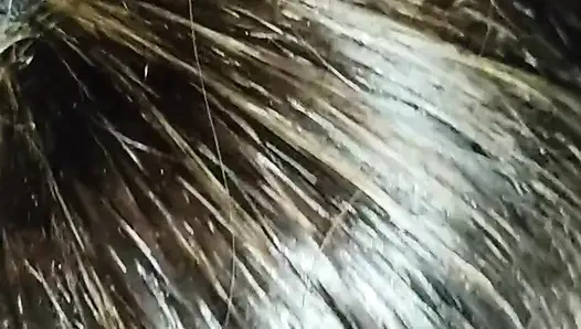 Arabada gezintiye çıktım ve onun yarağını emmek istedim