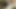 Tay genç kız izci seviyor creampies