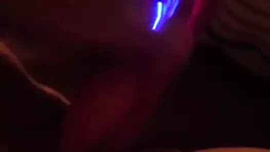 Tavşanla evde yalnız