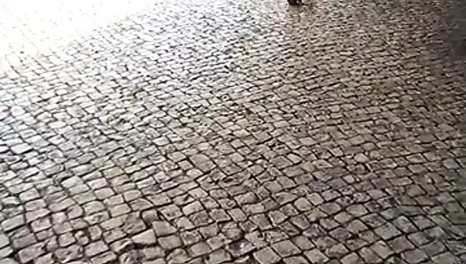 Rabo maravilhoso da tuga