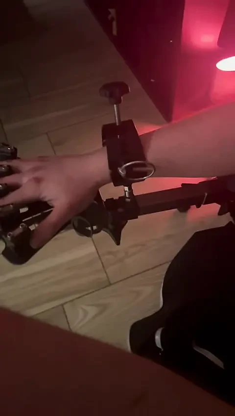 The bitch has to fight