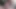 Bu beyaz horozun büyüklüğü pusluyu suskun bırakıyor