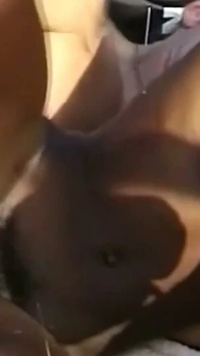 yeni evli ırklararası çift üniversite gerekçesiyle kamu açık seks var, siyah bebek anal alır | Klip 2